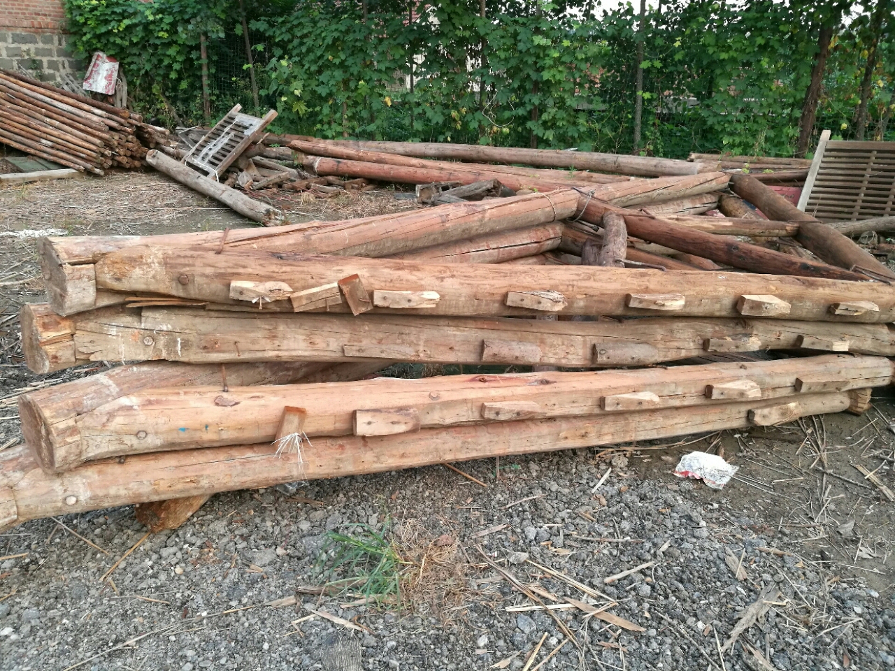20180731_77343_1533045118642.jpg