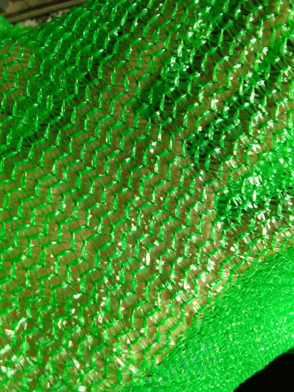 20180811_18397_1533945018259.jpg