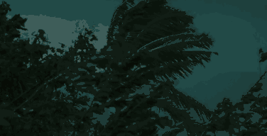 14.gif