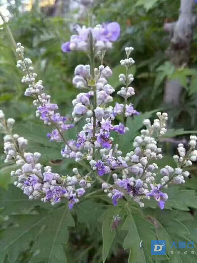 20180813_42153_1534116464263.jpg