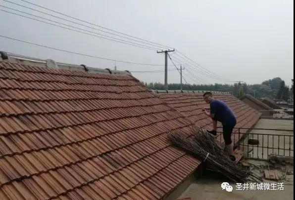 微信图片_20180813142836.jpg