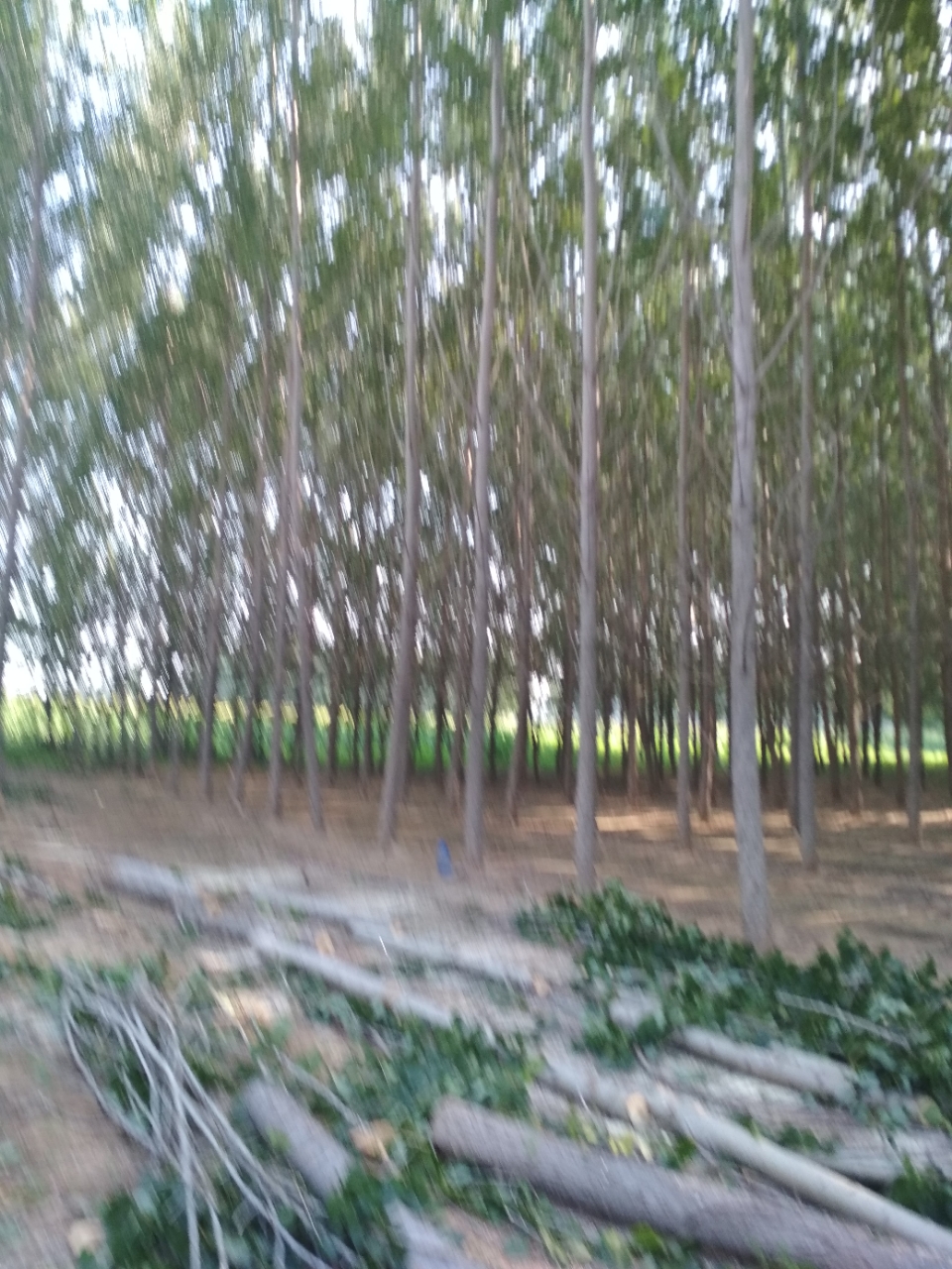 20180815_79045_1534337480950.jpg