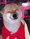 微信图片_20180817090542.gif