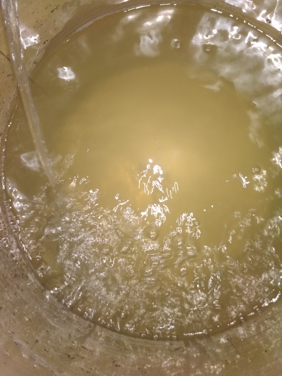 20180819_2985_1534655758418.jpg