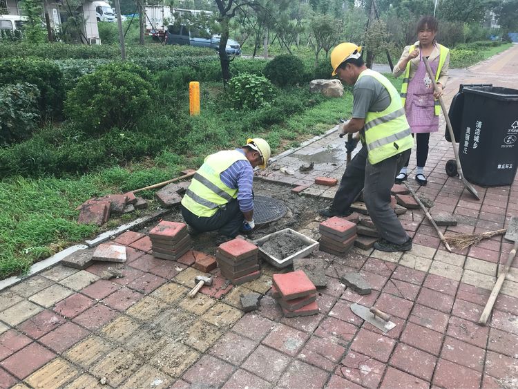 微信图片_20180820165857.jpg