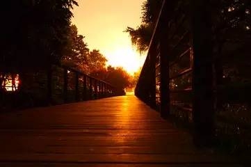 20180820_66140_1534779022613.jpg
