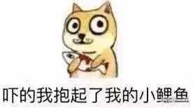 微信图片_20180822102301.jpg
