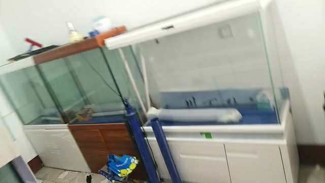 20180822_71728_1534952296000.jpg