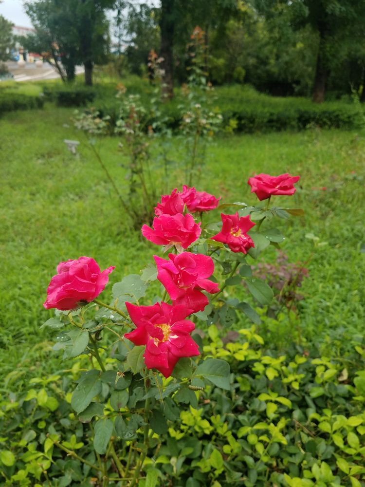 微信图片_20180824111024.jpg