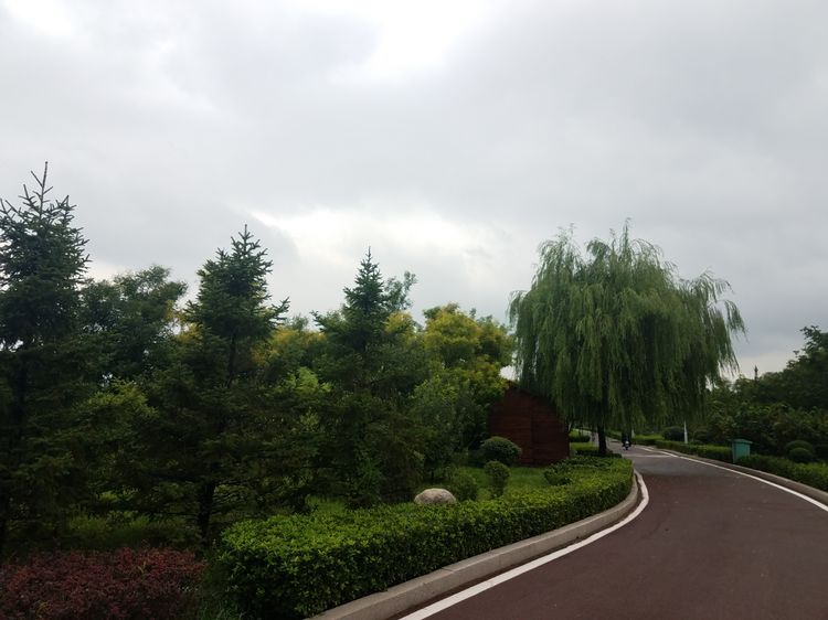 微信图片_20180824111026.jpg