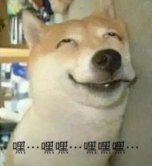 2018082459381535119712364865.jpg
