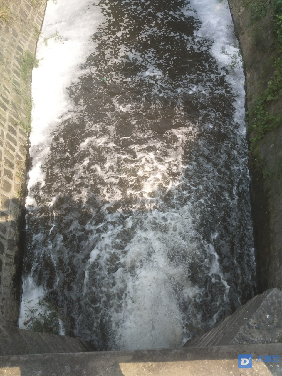 20180826_211_1535263244168.jpg