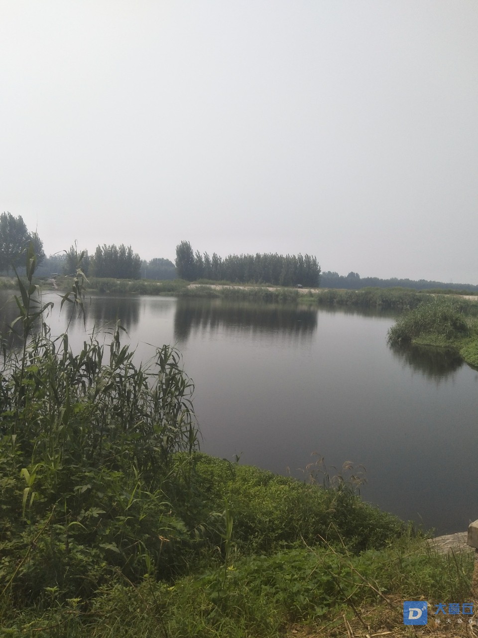 20180826_211_1535263246081.jpg
