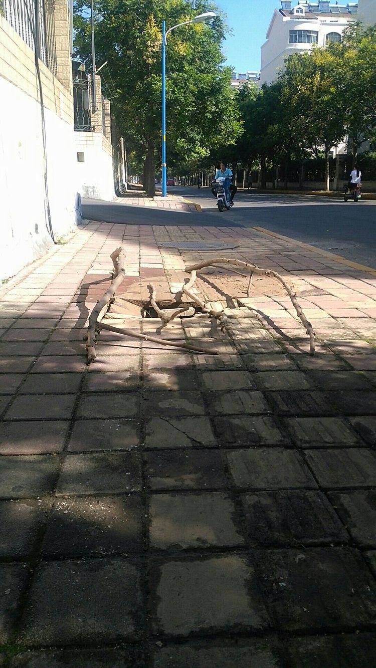 微信图片_20180827105605.jpg