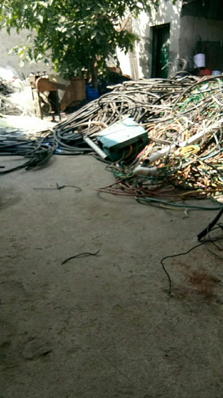 20180828_49338_1535422979594.jpg