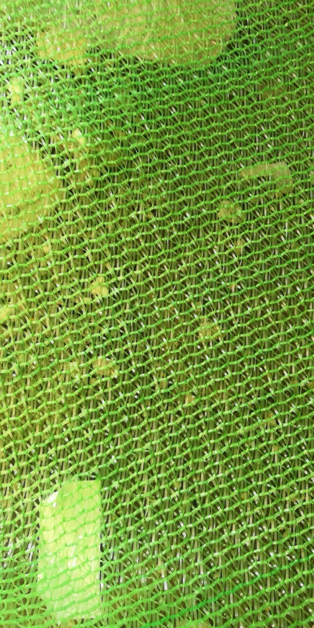 20180828_18397_1535425497964.jpg