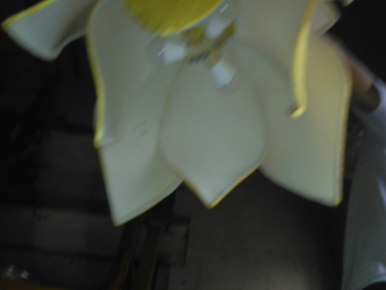 20180829_37784_1535498873820.jpg