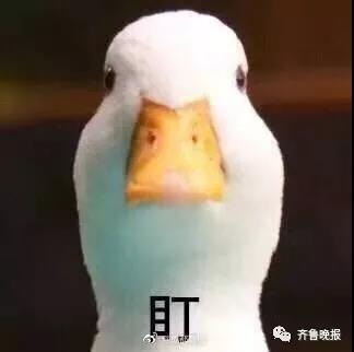 微信图片_20180830134927.jpg