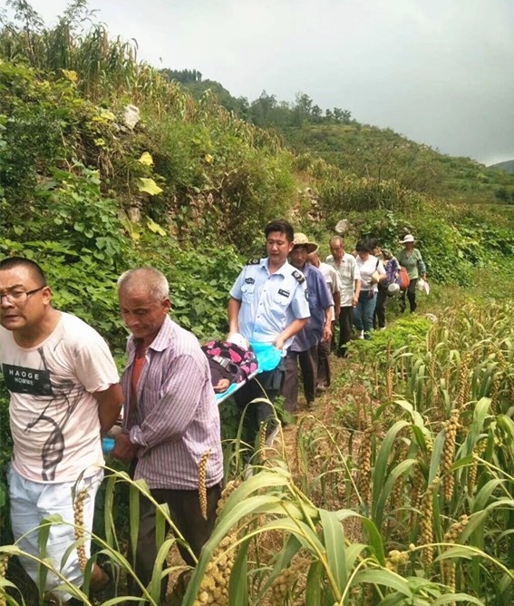 110847vuhsihheydy6ydse.jpg.thumb_看图王.jpg