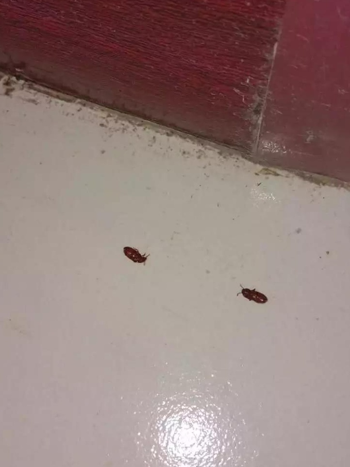微信图片_20180901091912_看图王.jpg