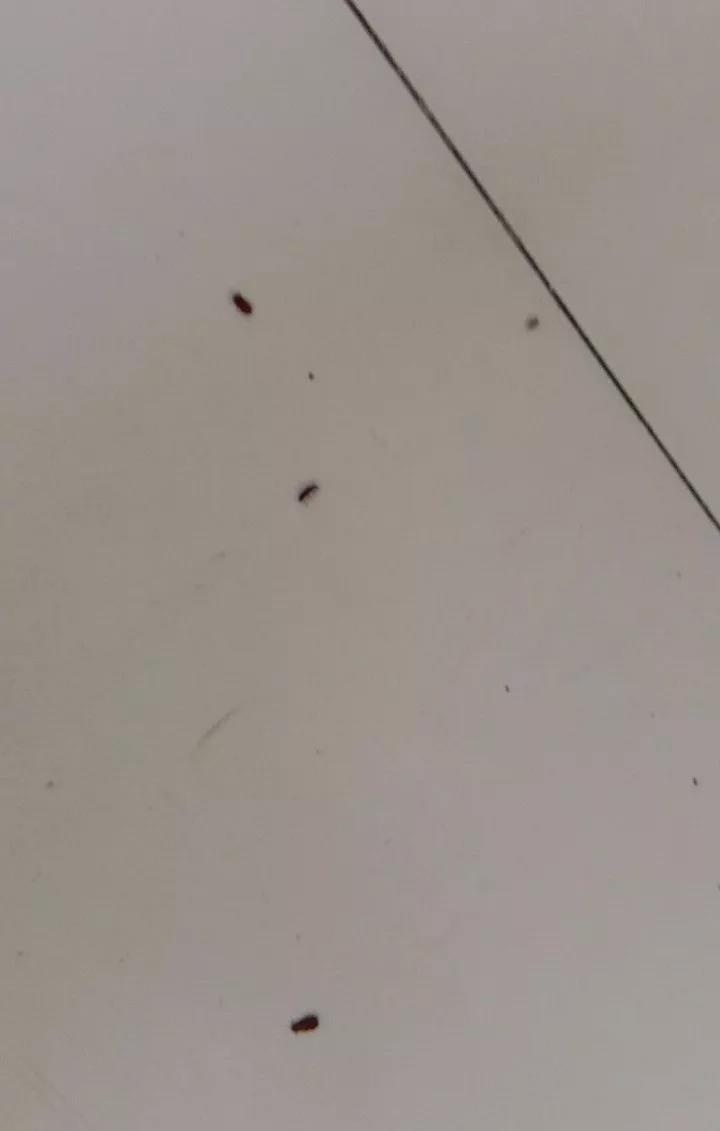 微信图片_20180901091919_看图王.jpg