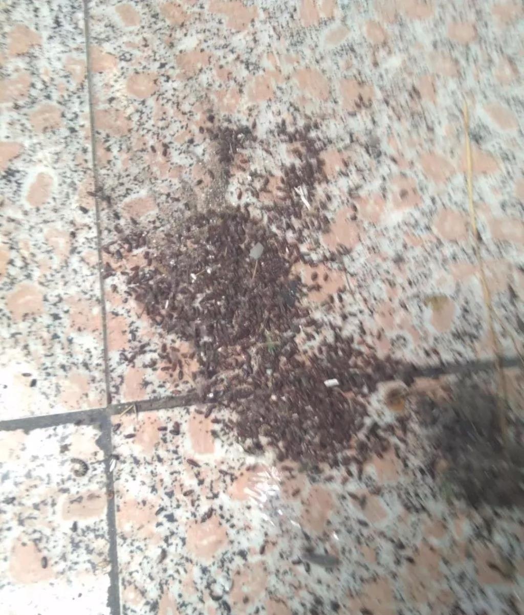 微信图片_20180901091914_看图王.jpg
