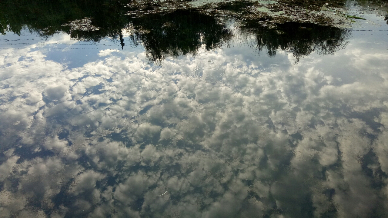 20180903_74765_1535983610446.jpg