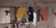 微信图片_20180909140723.gif