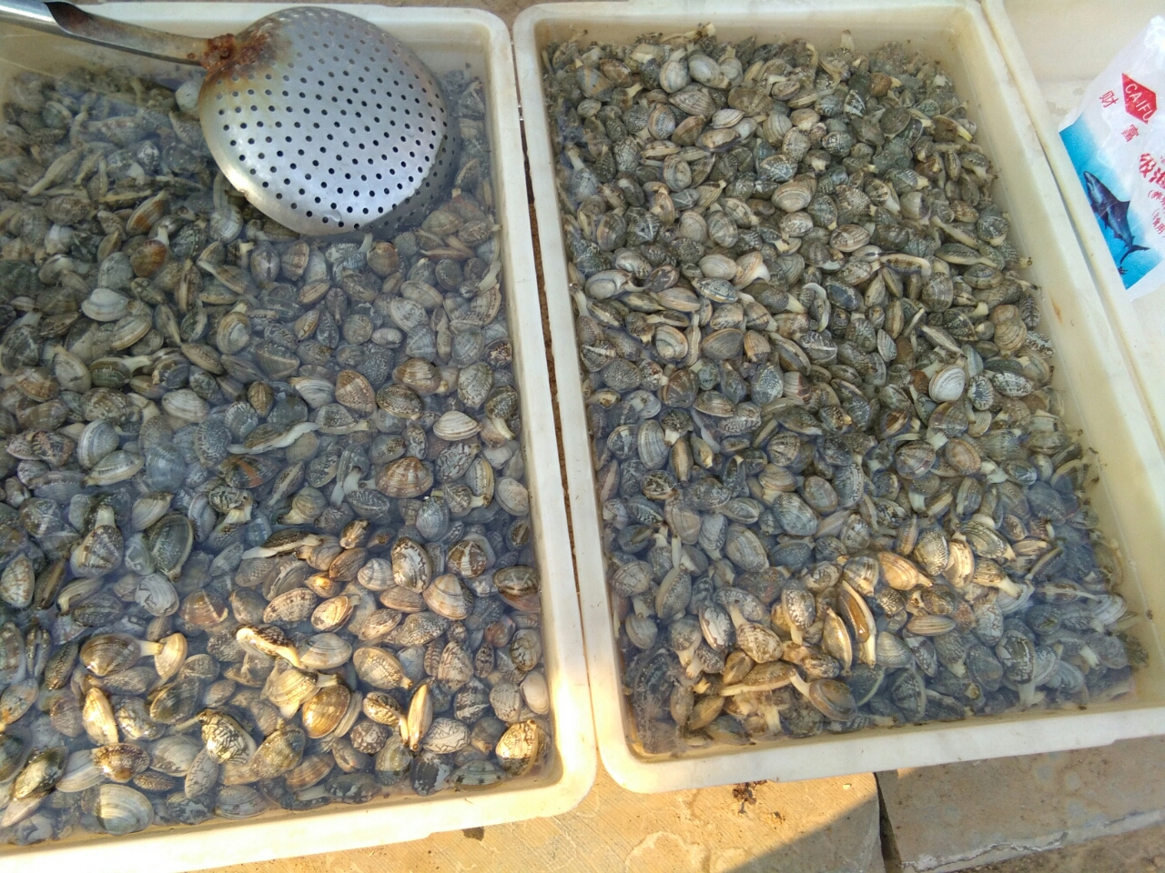20180911_21684_1536654696126.jpg