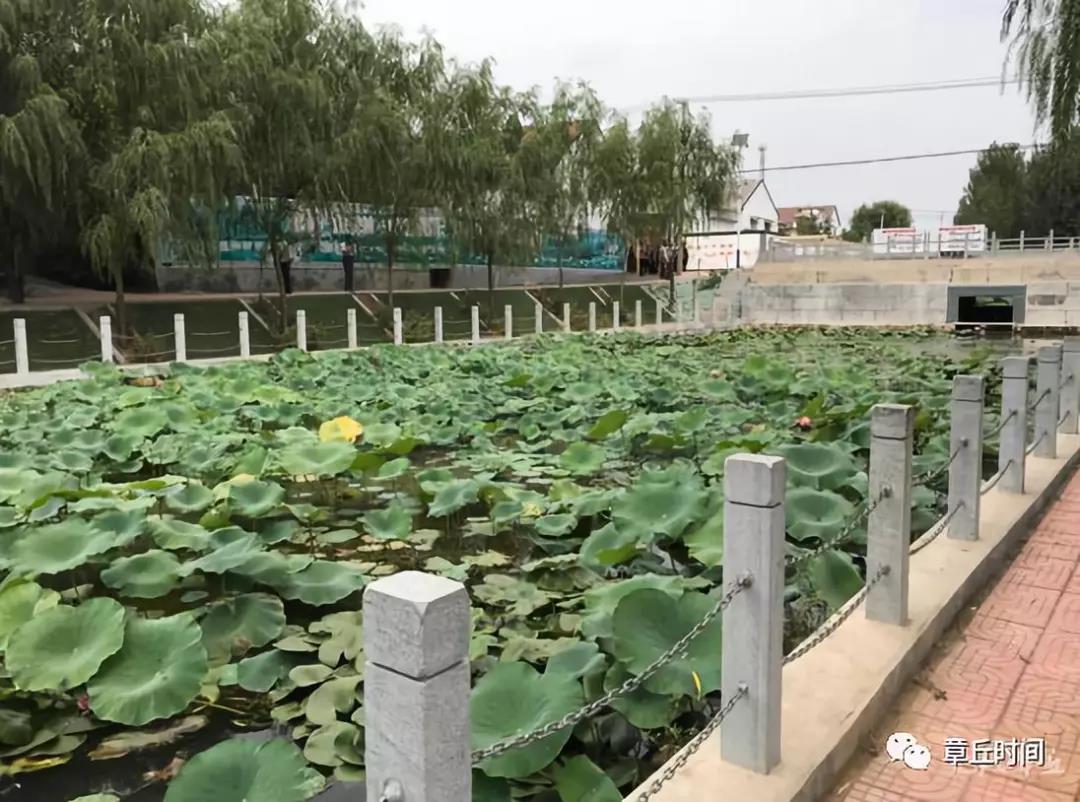 微信图片_20180913164010.jpg