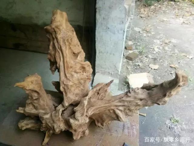 微信图片_20180914082907.jpg