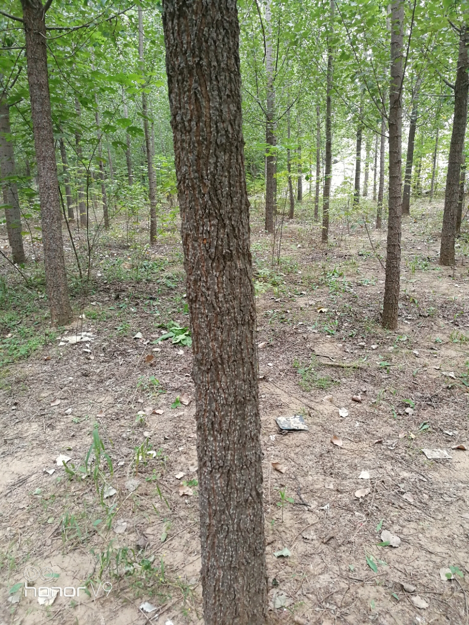 20180914_38518_1536889766173.jpg