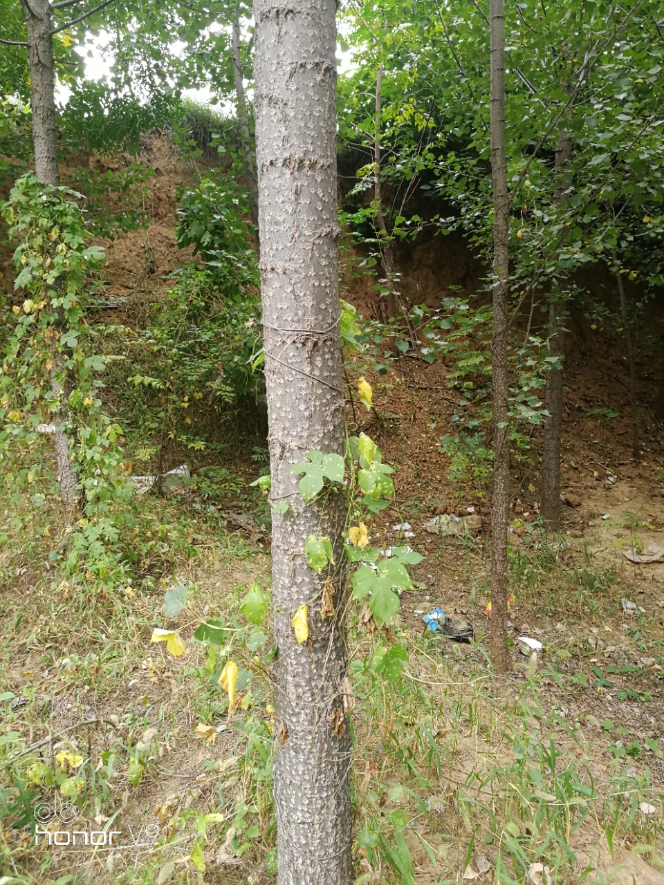 20180914_38518_1536889766901.jpg