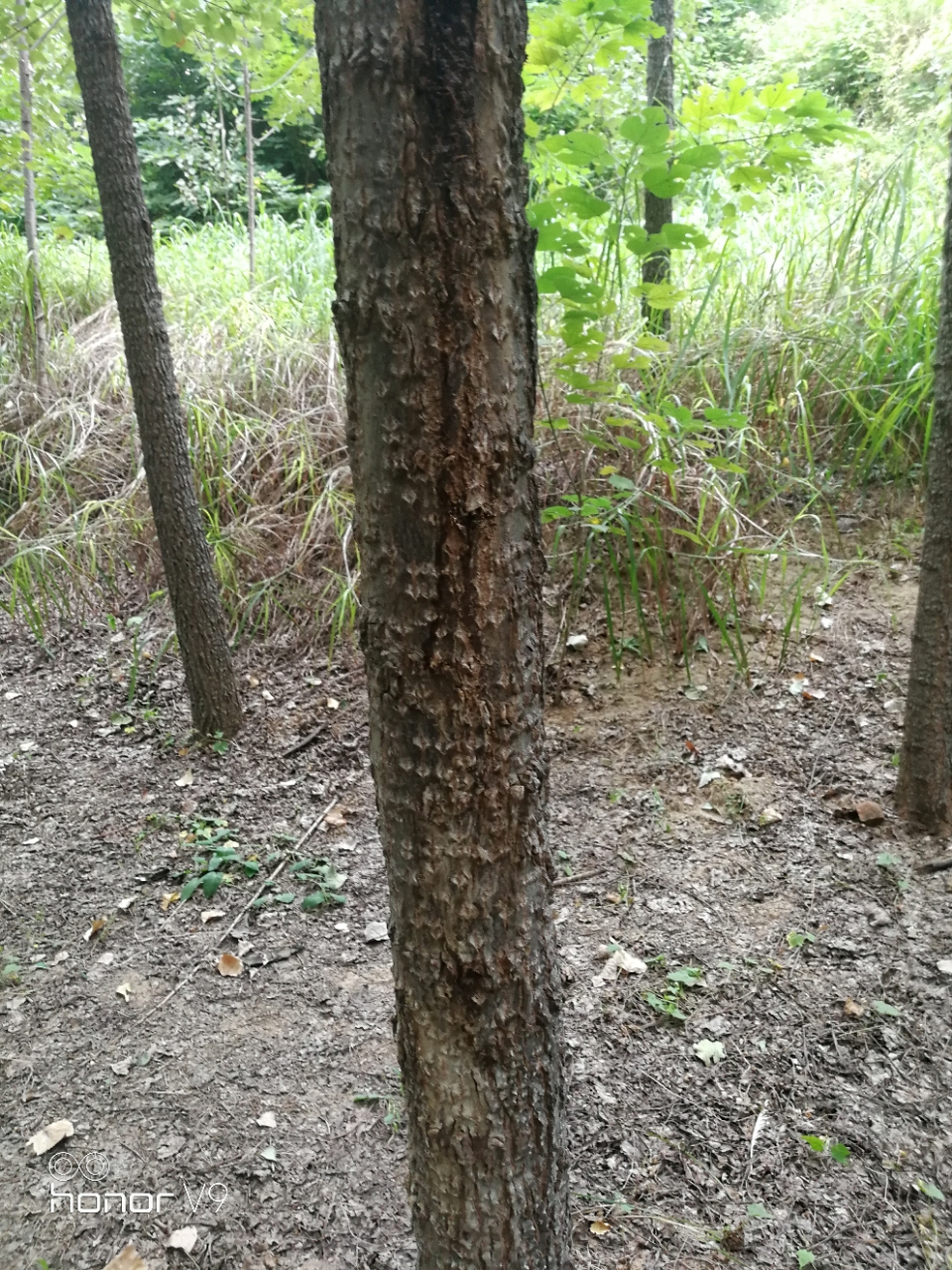 20180914_38518_1536889766559.jpg
