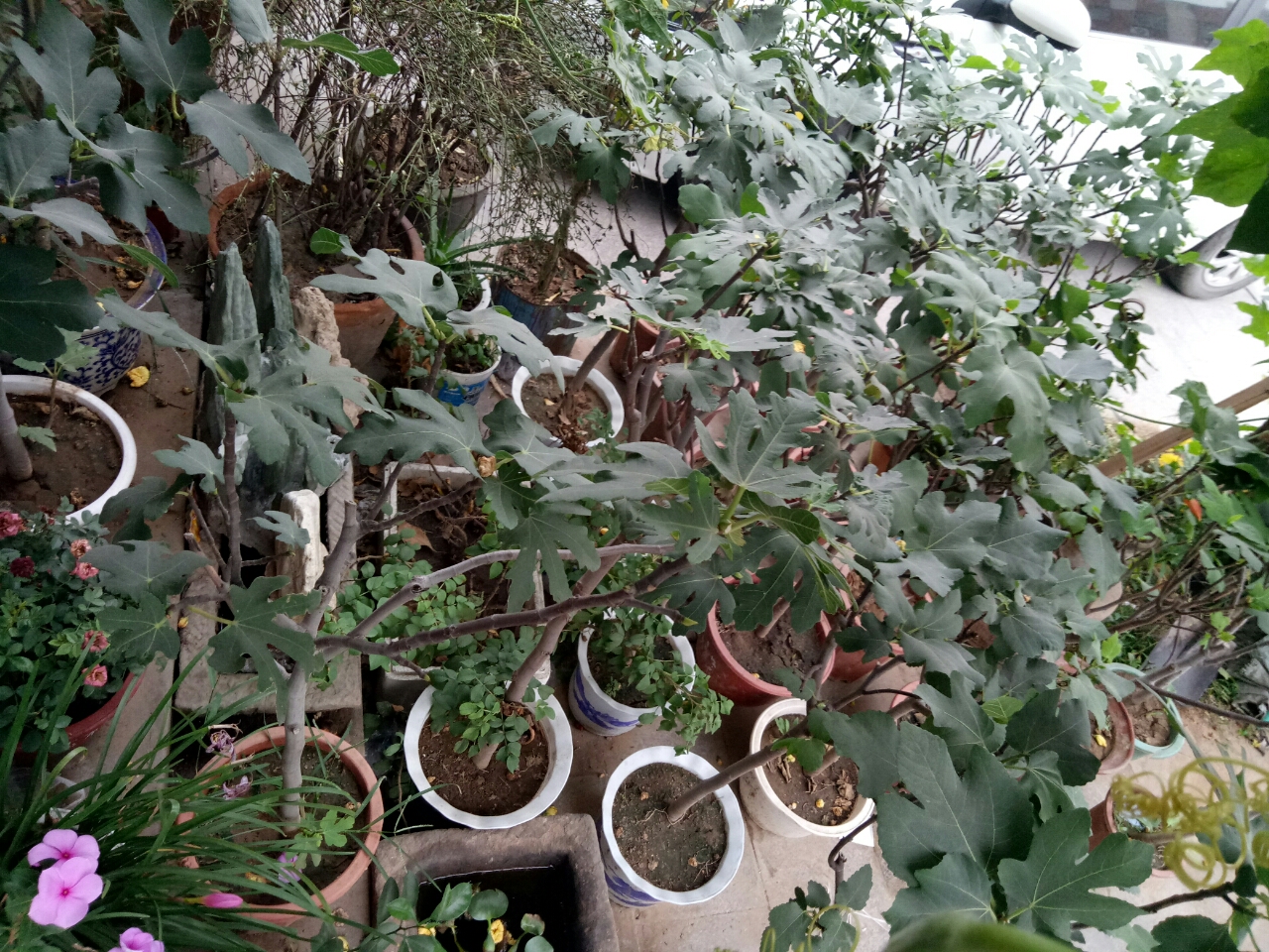 20180914_58320_1536898279543.jpg
