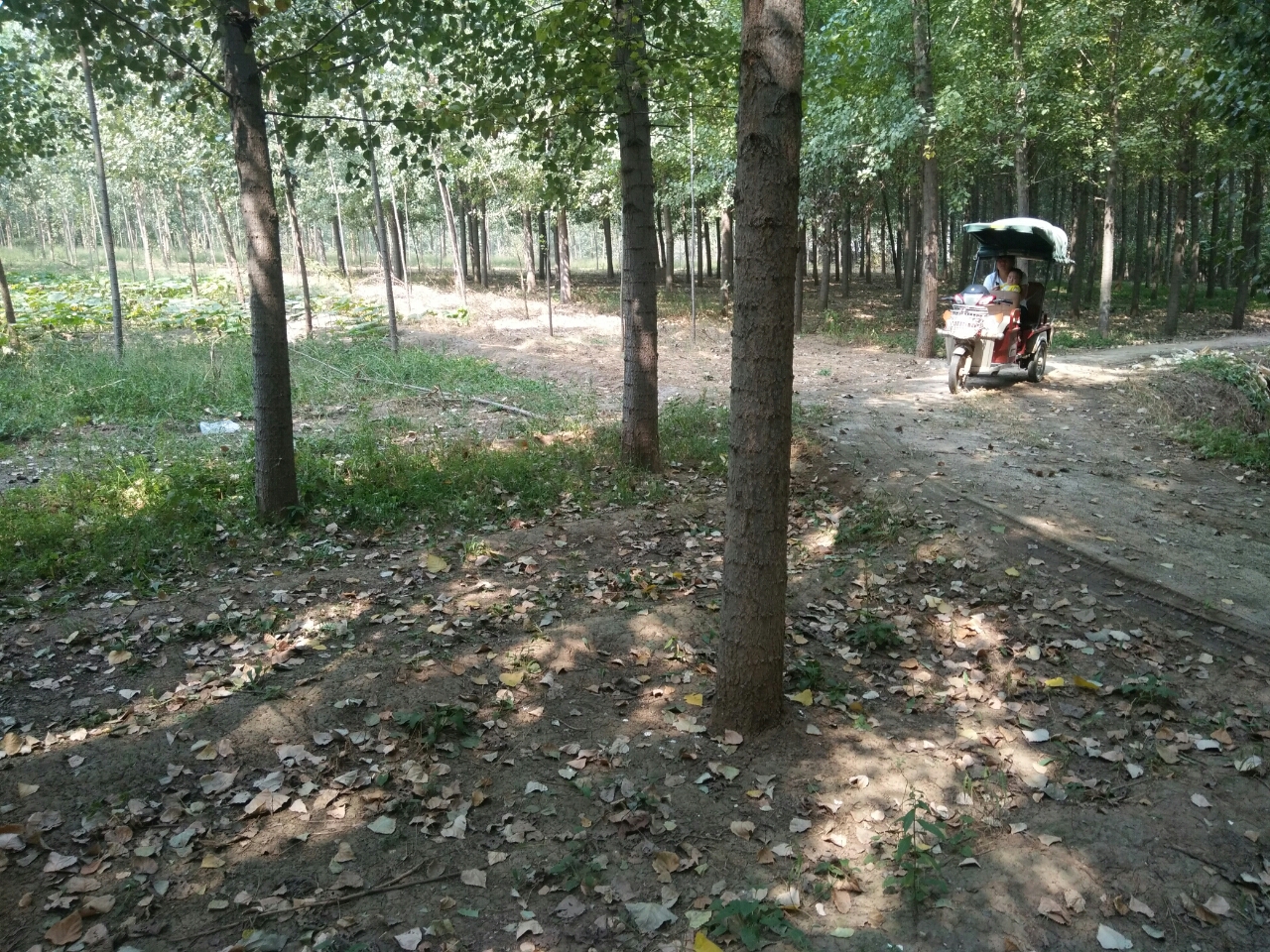 20180914_14875_1536900273138.jpg