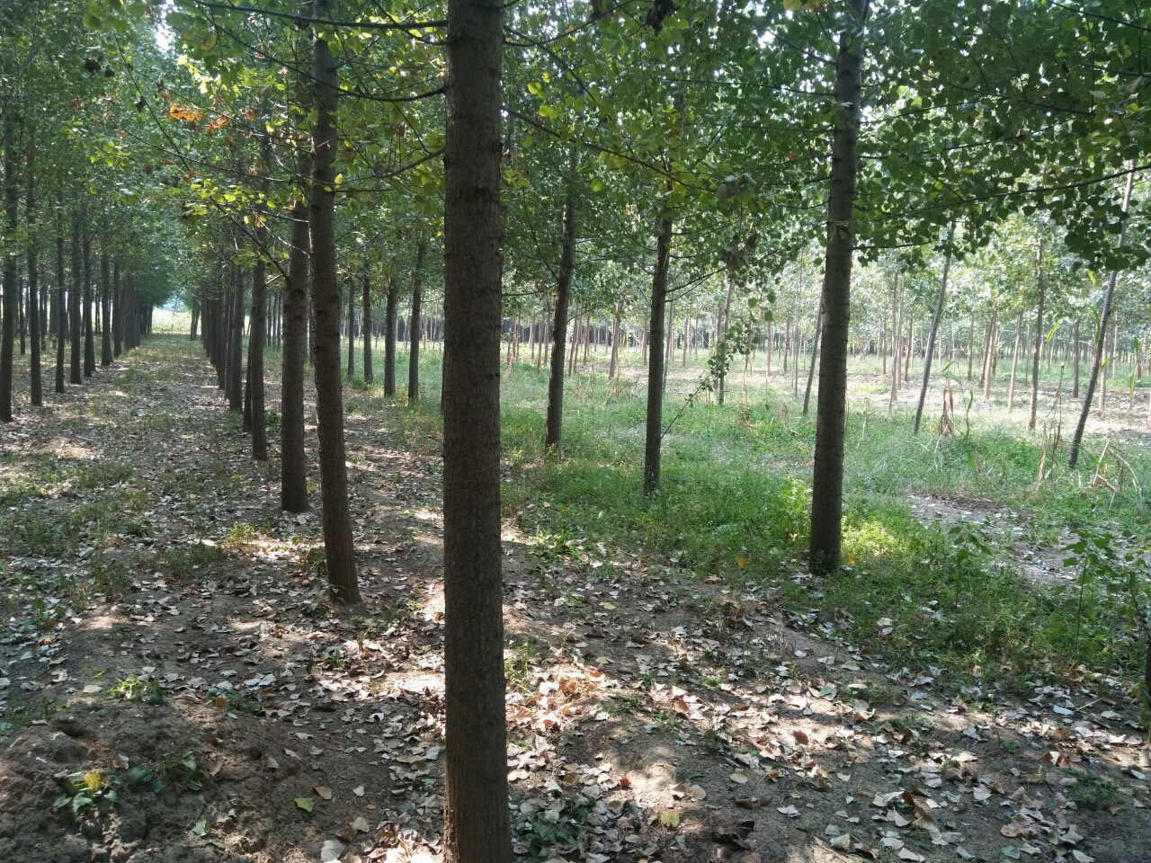 20180914_14875_1536900272678.jpg