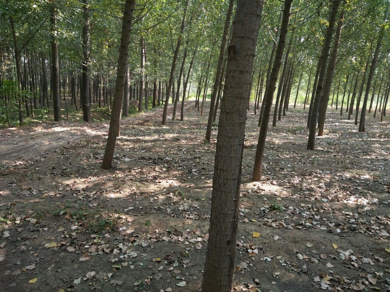 20180914_14875_1536900273580.jpg