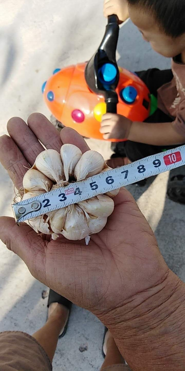 20180914_54329_1536902770756.jpg