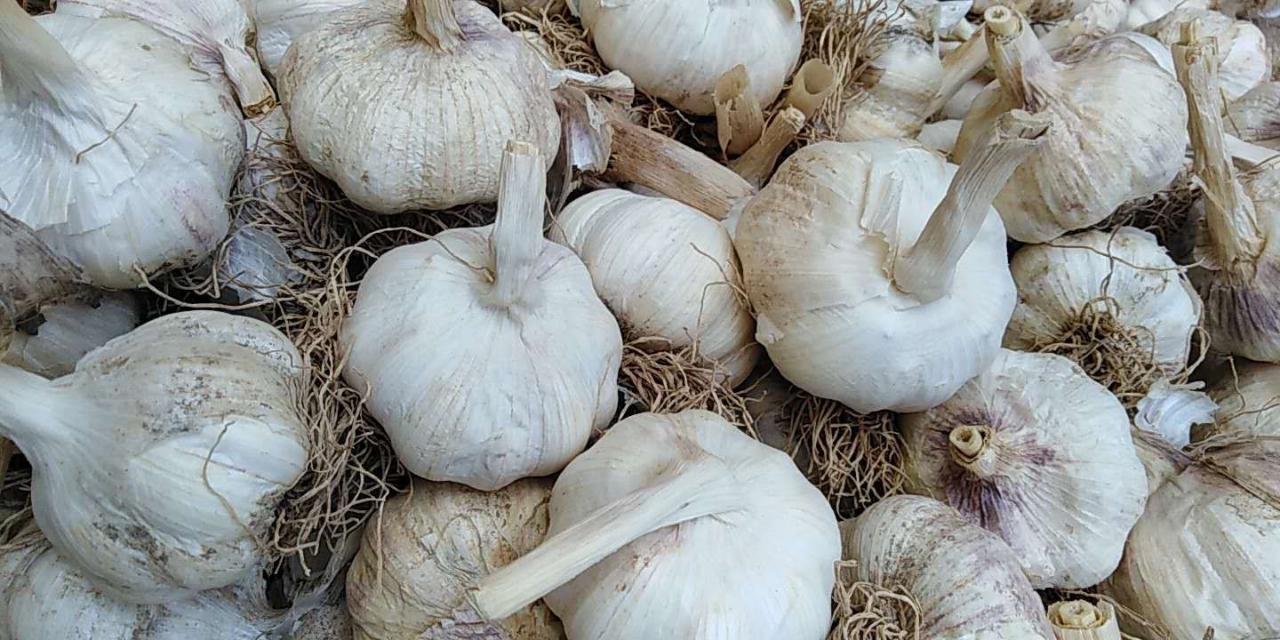 20180914_54329_1536902770686.jpg