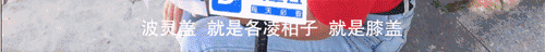 微信图片_20180914134720.gif