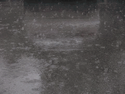 微信图片_20180914160317.gif