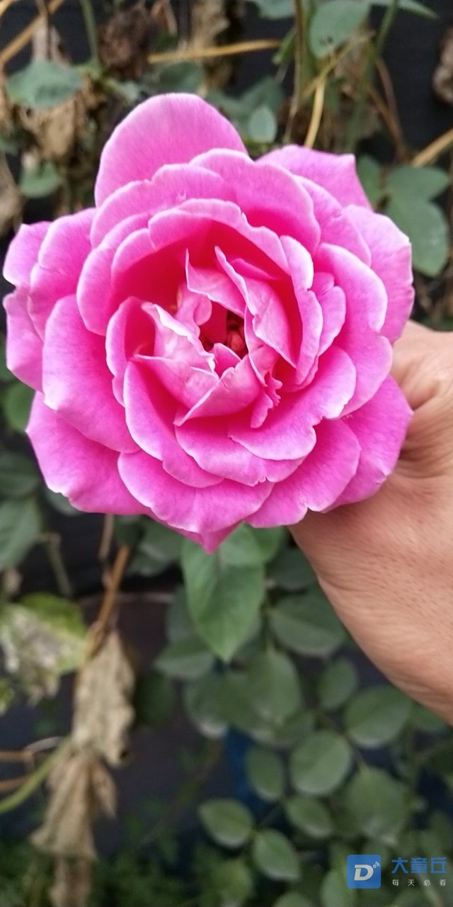 20180916_14237_1537095972463.jpg