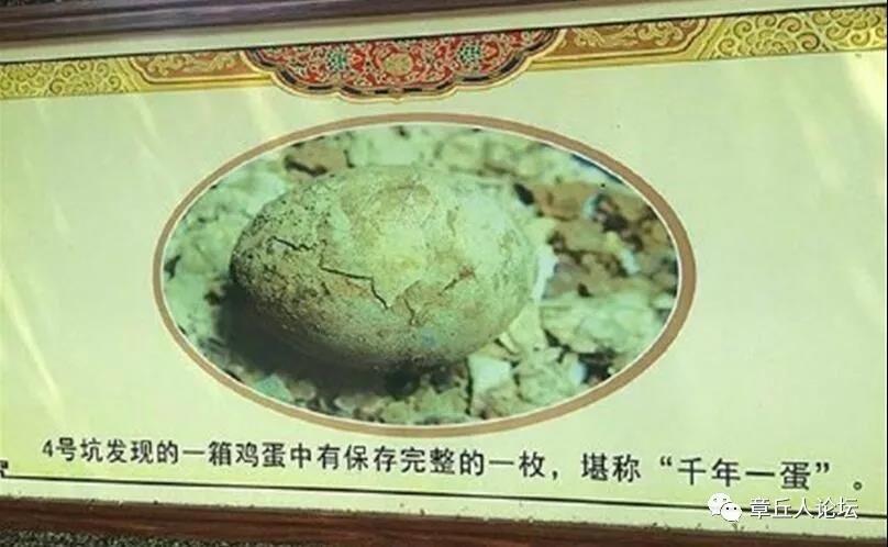 微信图片_20180917093321.jpg
