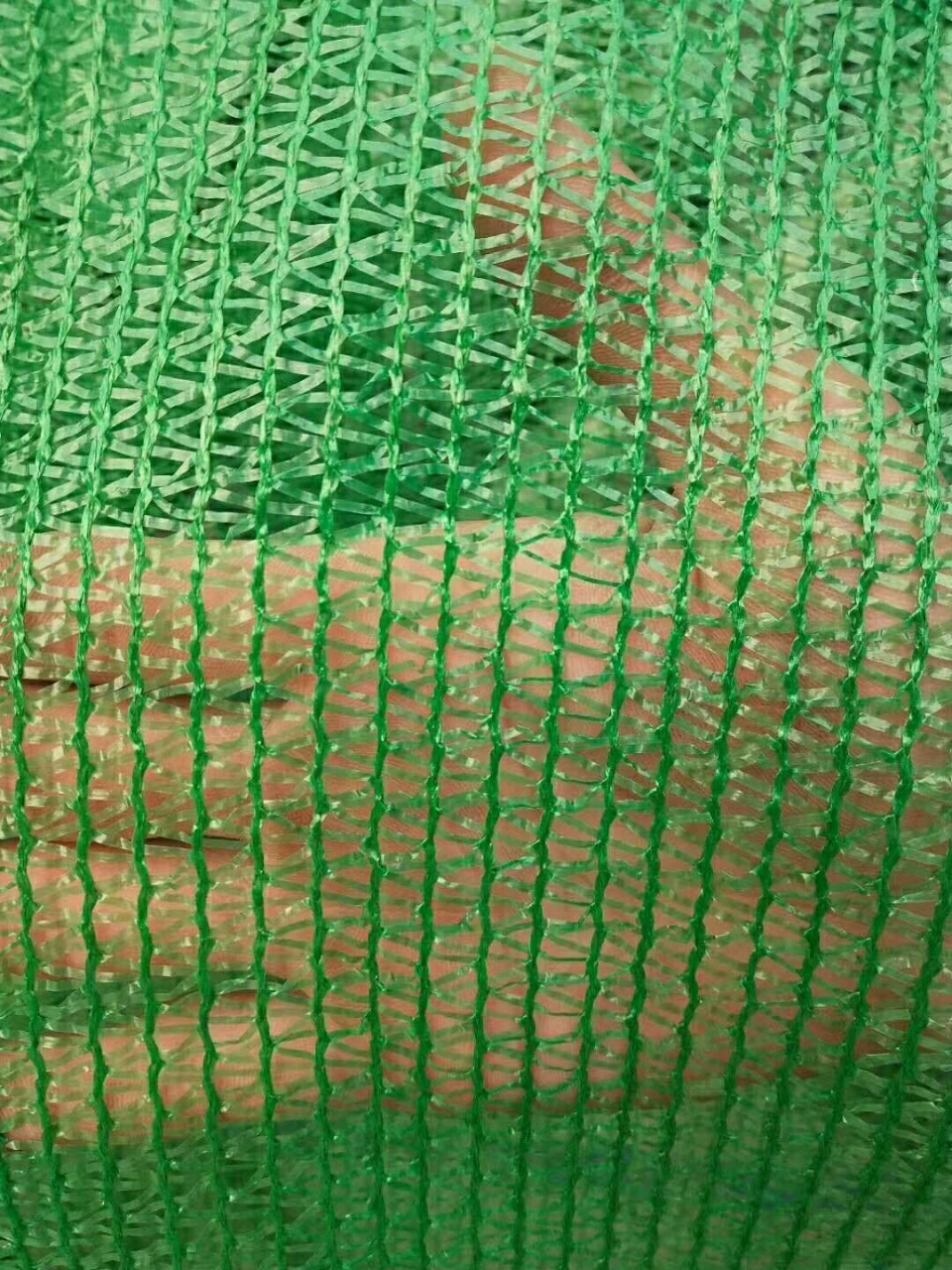 20180921_18397_1537490006362.jpg