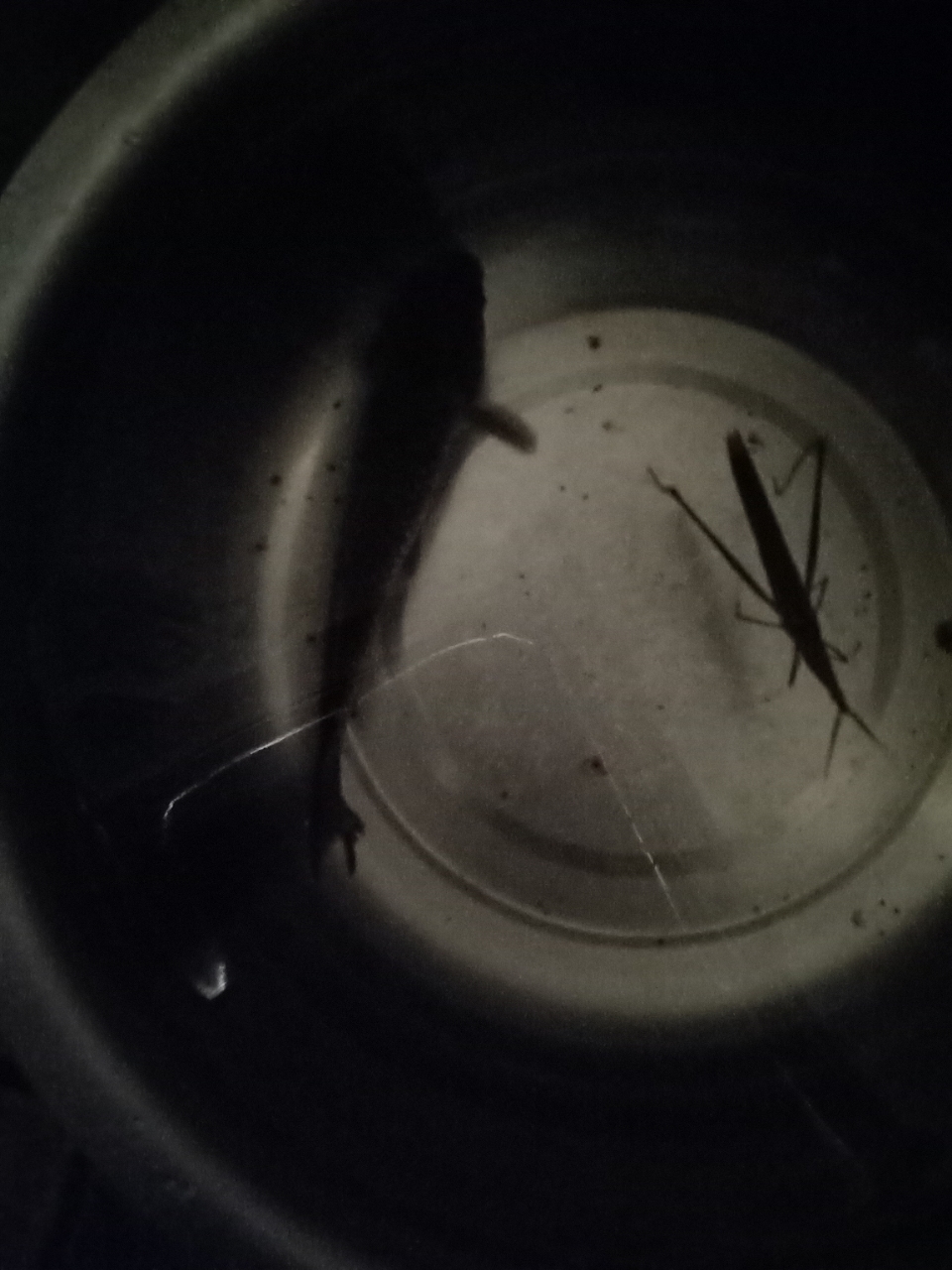 20180924_1100_1537718936401.jpg