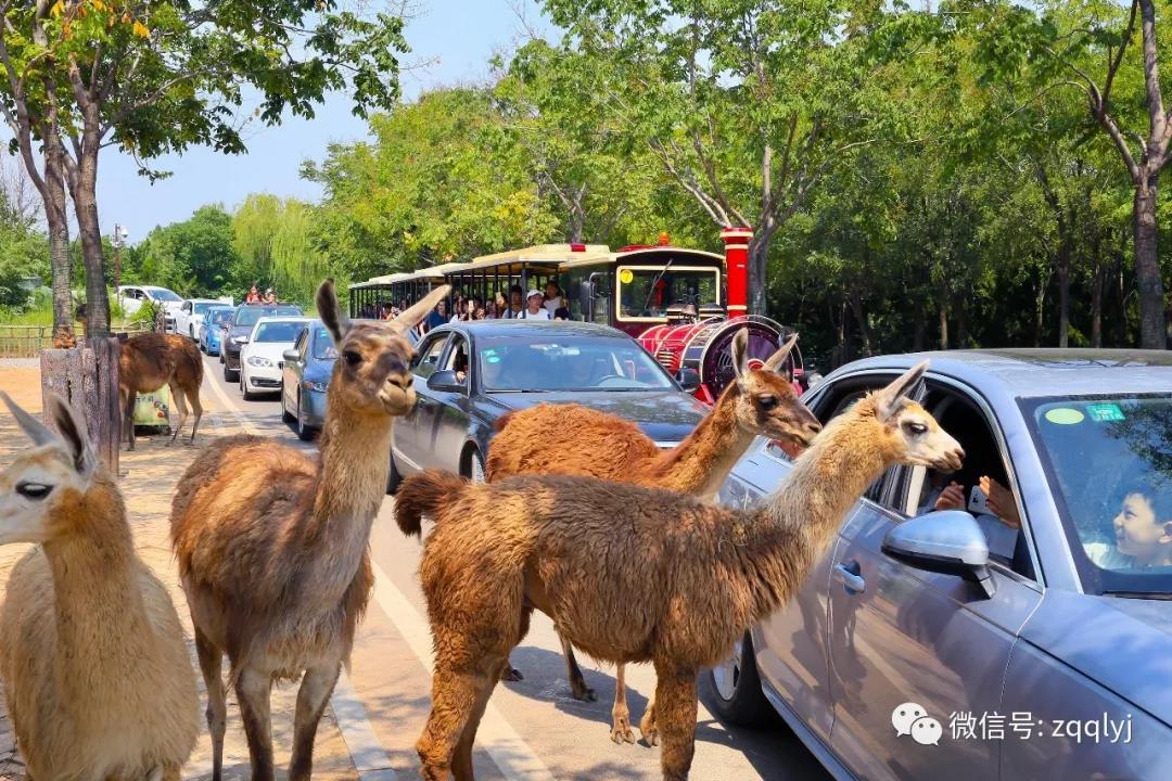 微信图片_20180926085530.jpg