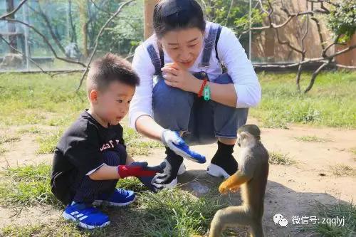 微信图片_20180926085556.jpg