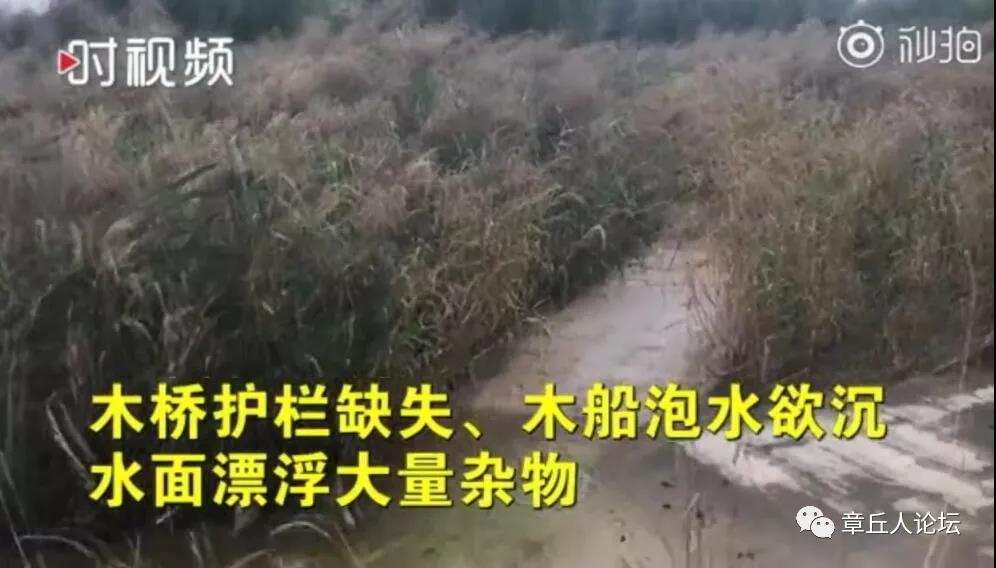 微信图片_20180926103539.jpg