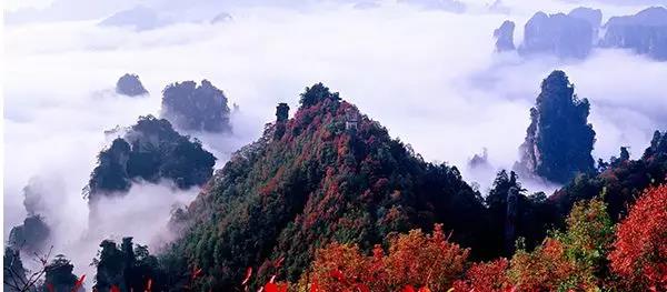 微信图片_20180926115642.jpg